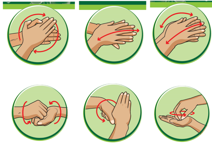 các bước rửa tay theo các bước của bộ y tế