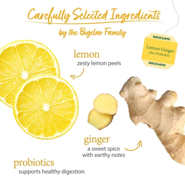 (lỢi khuẨn probiotics) usa trà túi lọc lemon ginger plus probiotics herbal tea (108 túi lọc)