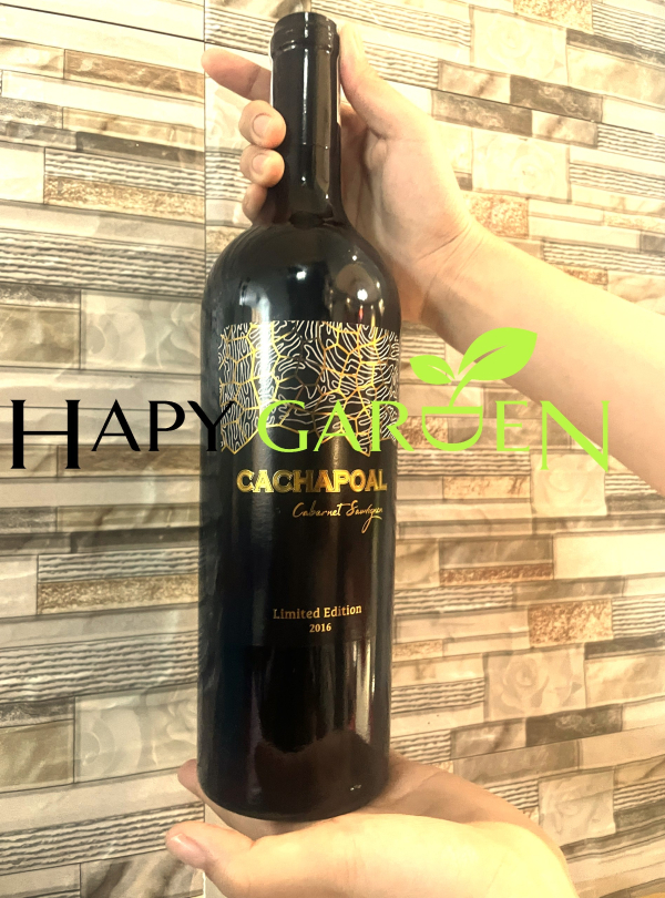 (tẶng 1 giẢi rƯỢu fujiwa) vang đỏ chile cachapoal cabernet sauvignon 750ml 14,5% Đầy đủ tem phân phối chất lượng