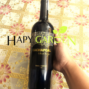 (tẶng 1 giẢi rƯỢu fujiwa) vang đỏ chile cachapoal cabernet sauvignon 750ml 14,5% Đầy đủ tem phân phối chất lượng