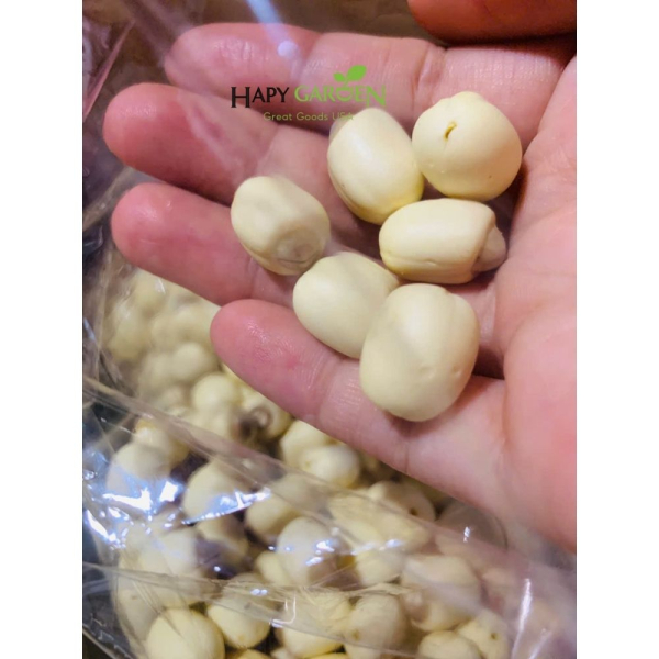 (HỒI PHỤC) HẠT SEN TƯƠI HUẾ CHÍNH GỐC ĐẶC SẢN HUẾ 1KG - Ảnh 4