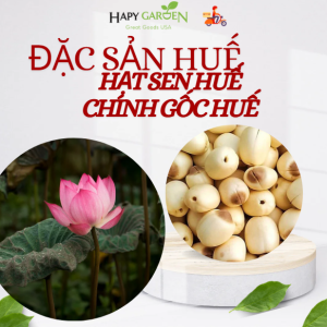 (HỒI PHỤC) HẠT SEN KHÔ HUẾ CHÍNH GỐC ĐẶC SẢN HUẾ 1KG