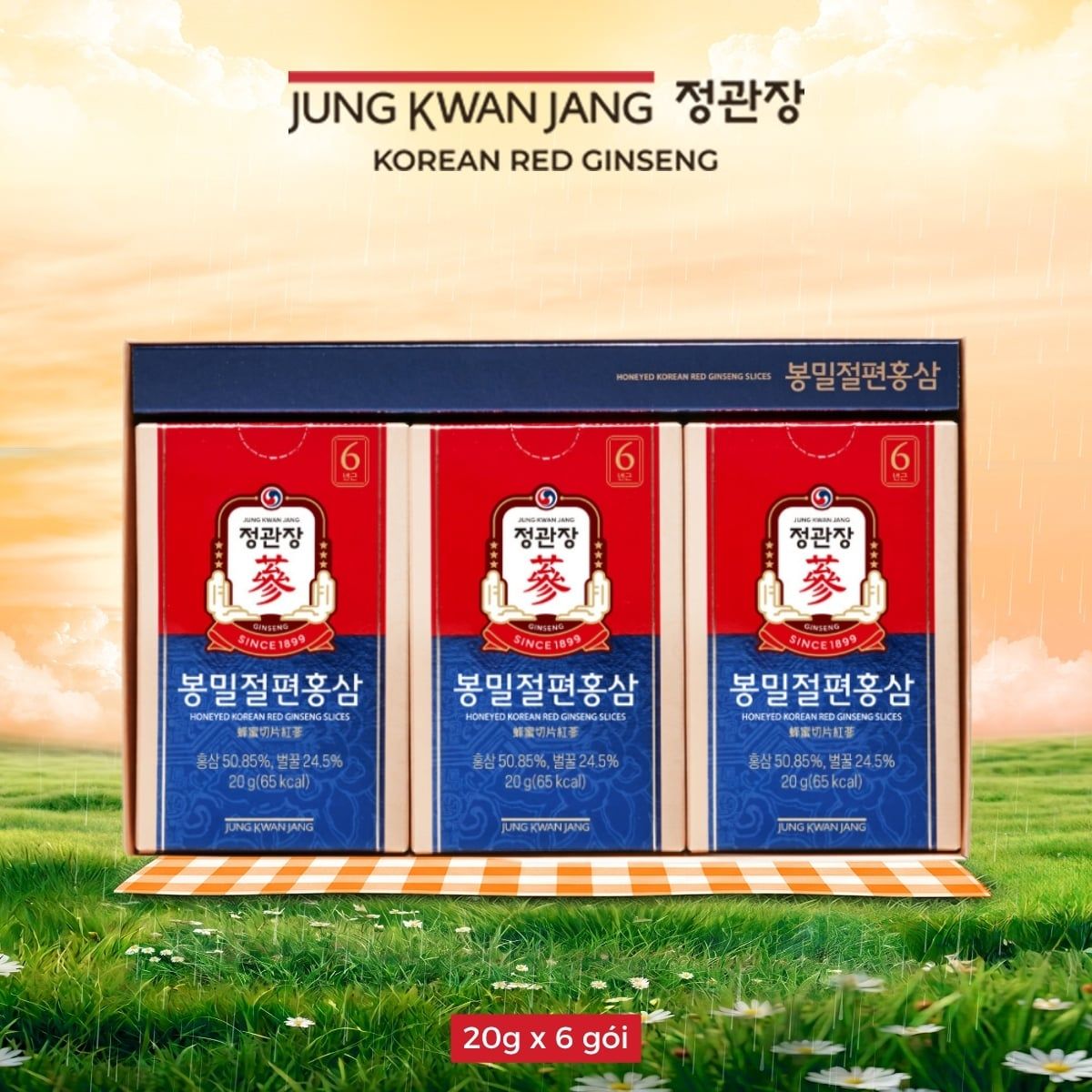 (HỒI PHỤC) KOR Hồng Sâm Lát Tẩm Mật Ong KGC Honeyed Slices 20g x 6 Hộp - Ảnh 2